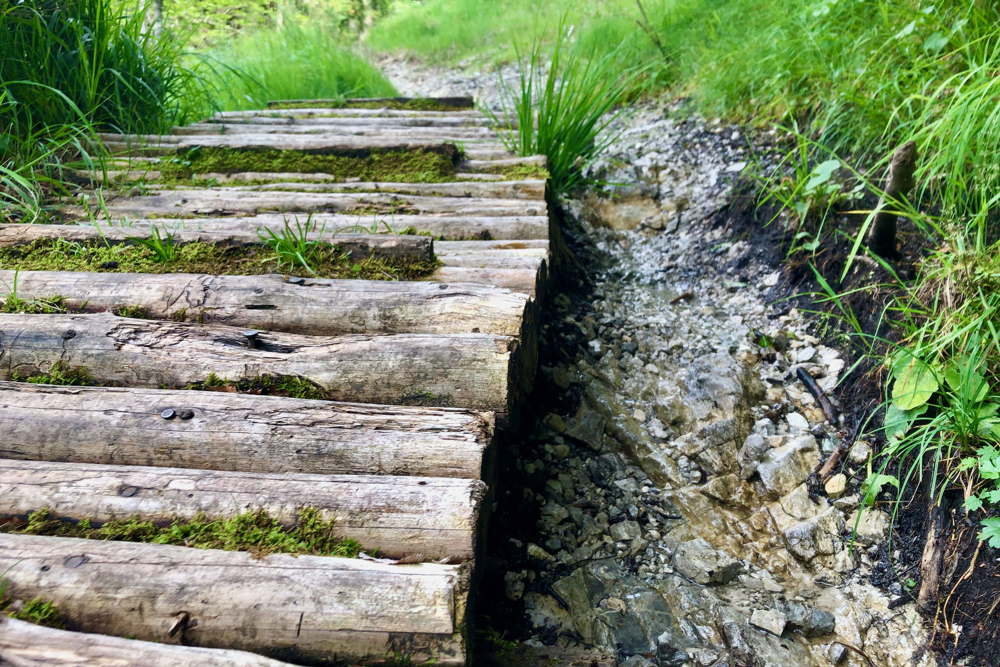 Holzsteg Holzstege © Gipfelfieber